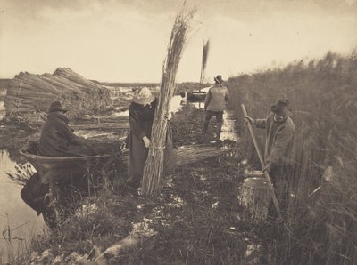 Under vasskörden av Peter Henry Emerson
