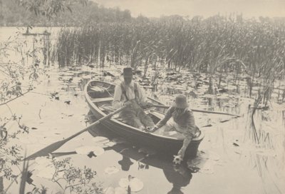Samling av näckrosor,1886 (foto) av Peter Henry Emerson