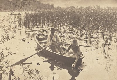 Plockning av näckrosor av Peter Henry Emerson