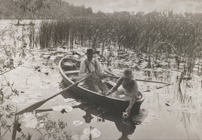 Samla näckrosor av Peter Henry Emerson