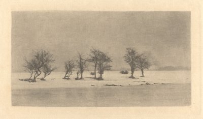 Knotiga taggträd av Peter Henry Emerson