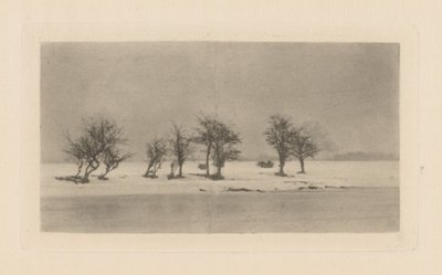Knotiga taggträd av Peter Henry Emerson