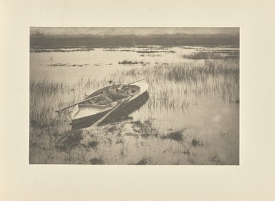Jakthund som smyger sig på fjäderfä av Peter Henry Emerson