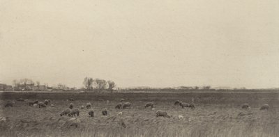 Myrar vid Nordsjön av Peter Henry Emerson