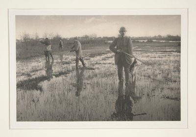 Män som jagar i ett träsk av Peter Henry Emerson