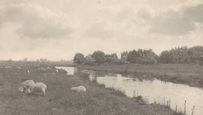Vid floden Bure av Peter Henry Emerson