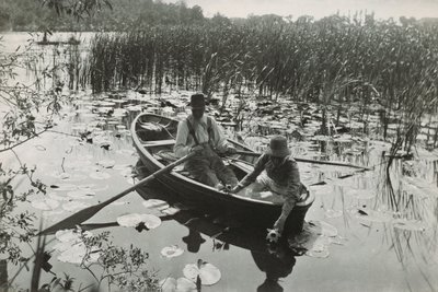 Ett av fyrtio platinatryck från "Life and Landscape on the Norfolk Broads" av Peter Henry Emerson