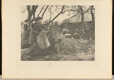 OsierPeeling. [Norfolk]]. av Peter Henry Emerson