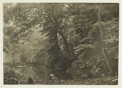 "Pike Pool" (underifrån) av Peter Henry Emerson