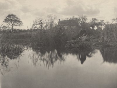 Kvantning av Gladdon,1886 (foto) av Peter Henry Emerson