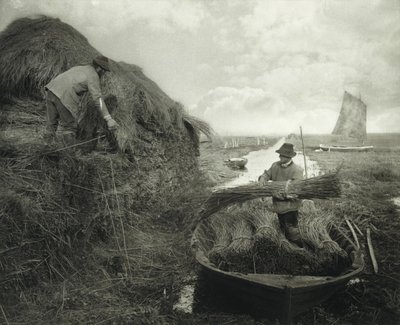 Stapling av vass av Peter Henry Emerson