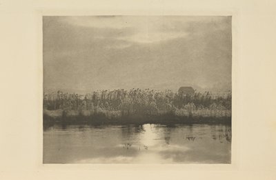 Rimkristaller av Peter Henry Emerson