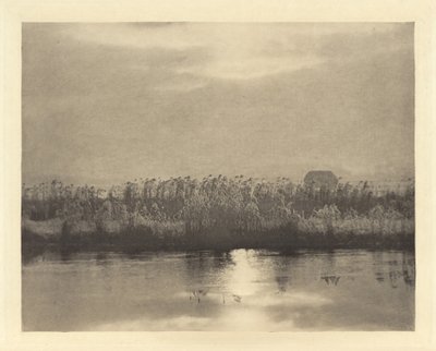 Rime Crystals,i eller före 1895 (foto) av Peter Henry Emerson