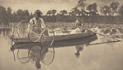 Uppsättning av bågnätet av Peter Henry Emerson