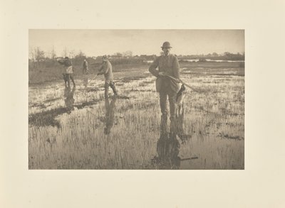 Enkelbeckasinjakt av Peter Henry Emerson