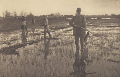 Snäppjakt av Peter Henry Emerson