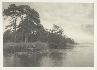 Gäddans tillhåll av Peter Henry Emerson
