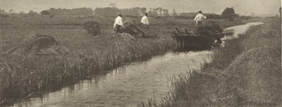 Starrskörden av Peter Henry Emerson