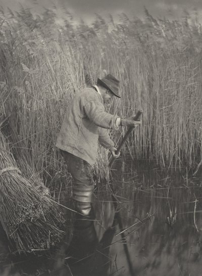 En vassklippare på jobbet av Peter Henry Emerson and T.F. Goodall