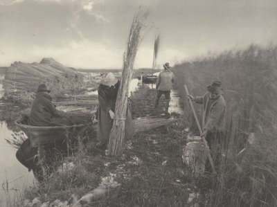 Under vassskörden av Peter Henry Emerson and T.F. Goodall