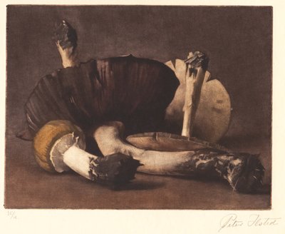 Gul svamp av Peter Vilhelm Ilsted
