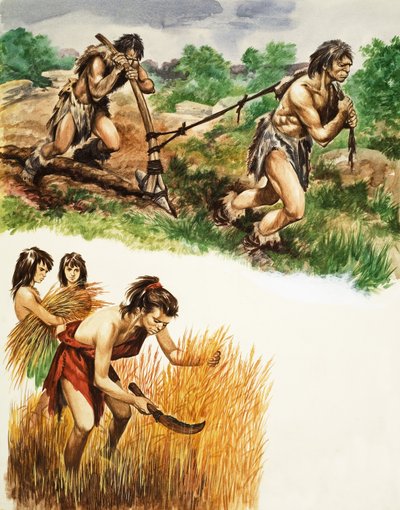 Stone Age farmingswed av Peter Jackson