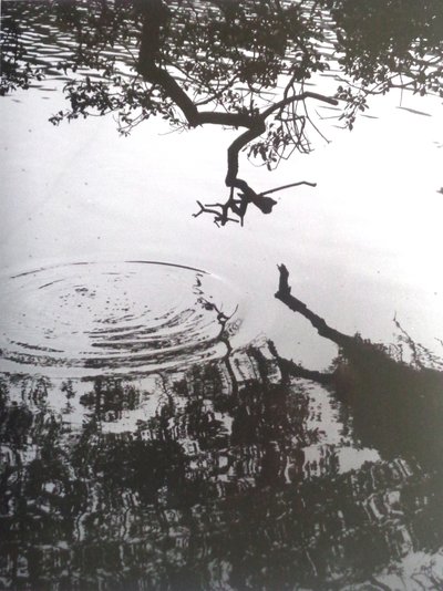 VINTAGE B&W PHOTO No.5, 1986, (FOTO) av Peter McClure