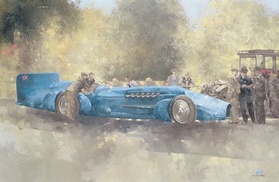 Bluebird och spöke av Peter Miller