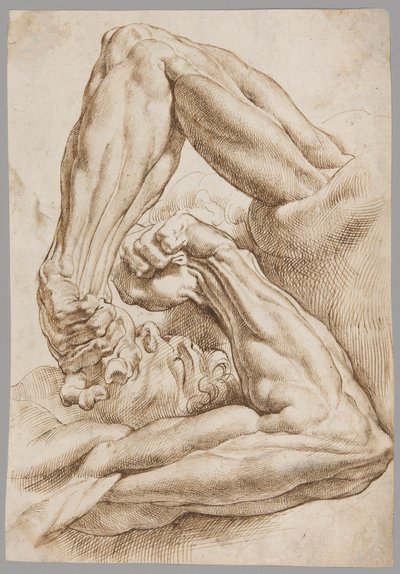Ett ark med anatomiska studier av Peter Paul Rubens