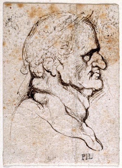 Galba, från tio teckningar av åtta av de första tolv Caesarerna, efter Giovanni da Cavinos medaljer (penna och bläck på papper) av Peter Paul Rubens