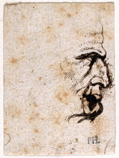 Galba, från tio teckningar av åtta av de första tolv Caesarerna, efter Giovanni da Cavinos medaljer (penna och bläck på papper) av Peter Paul Rubens