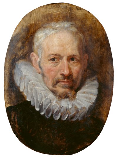 Head of an Old Man (olja på panel) av Peter Paul Rubens