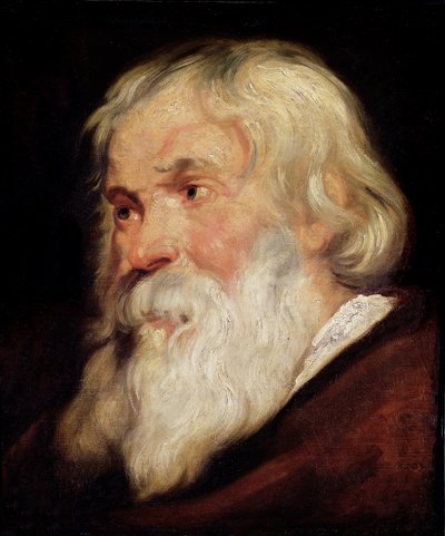 En gammal mans huvud av Peter Paul Rubens
