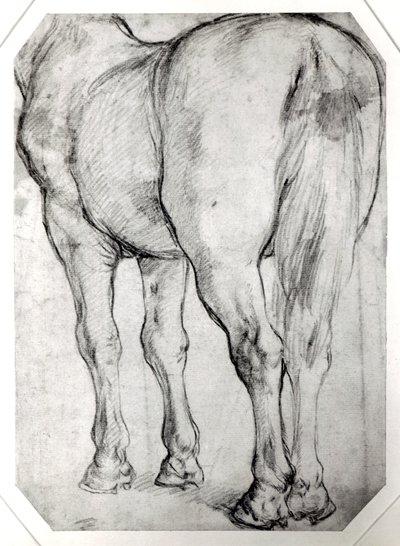 Hästens rygg av Peter Paul Rubens