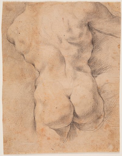 Manlig torso sedd bakifrån av Peter Paul Rubens