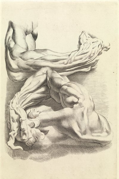 Muskler (gravyr) av Peter Paul Rubens