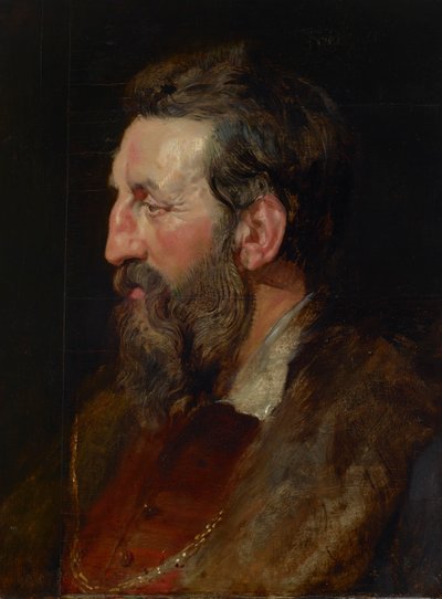 Porträtt av en man av Peter Paul Rubens