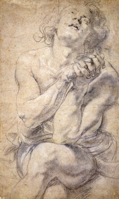 Seated Male Youth (Study for Daniel) av Peter Paul Rubens