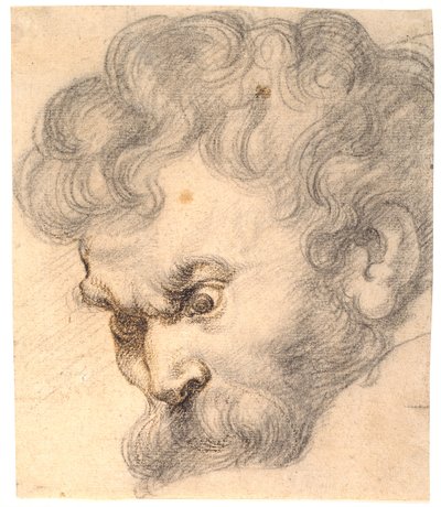 Studie från "Simson och lejonet". Simsons ansikte av Peter Paul Rubens