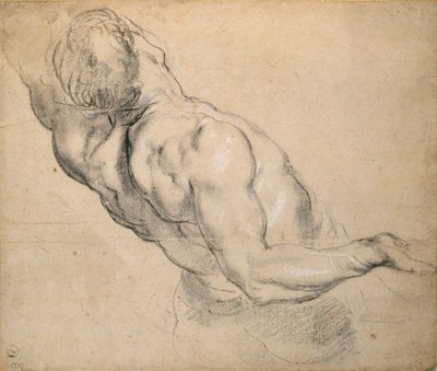 Studie av en naken man i Torso, 1600-1640 av Peter Paul Rubens