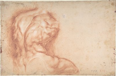 Jungfrun tillbedd av helgon (framsida); Studie av Belvederetorson (baksida) av Peter Paul Rubens