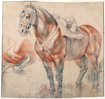 ""en sadelhäst"" Akvarell av Pieter Paul Rubens (1577-1640) ca 1616-1618 Wien Bibliotheque albertina av Peter Paul Rubens