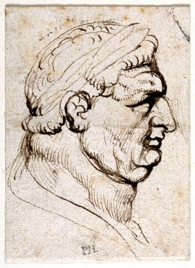 Vitellius, från tio teckningar av åtta av de första tolv Caesarerna, efter Giovanni da Cavinos medaljer (penna och bläck på papper) av Peter Paul Rubens