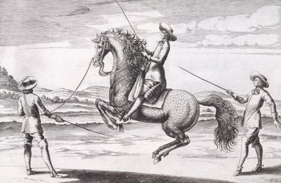 Illustration av en häst en Croupade från New Treatise for Breeding Horses skriven av Winters, Stuterey och Reit-Schul, pub. 1672 av Peter Paul Troschel