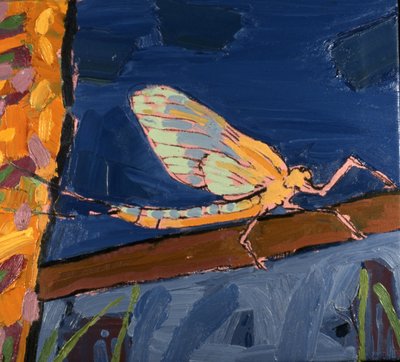 Majfluga av Peter Wilson