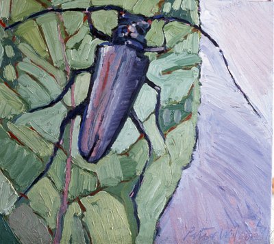 Myskbagge av Peter Wilson