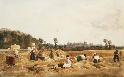 PD.129-1950 Cornfield, Windsor av Peter de Wint