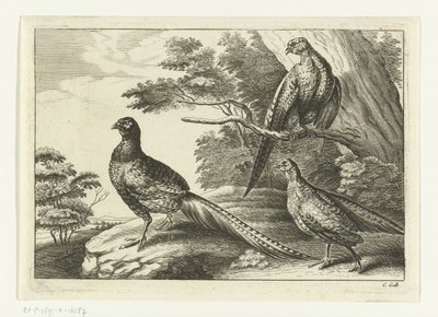 Tre fasaner Diversarum avium arter (serietitel) Olika fåglar (serietitel) av Peter van Liesebetten