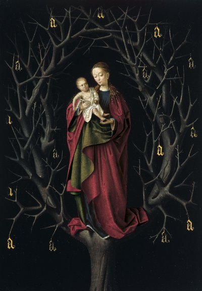 The Virgin of the torra Tree, ca 1465 av Petrus Christus