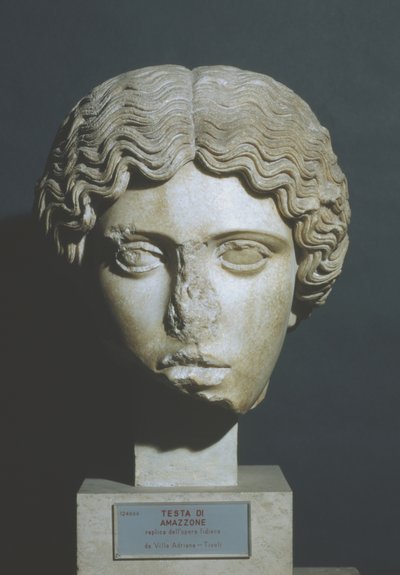 Amazons huvud av Phidias Phidias